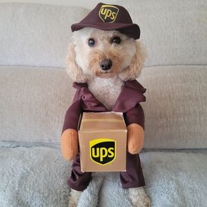 UPS‎ Delivery Dog Costume with Cap and Box